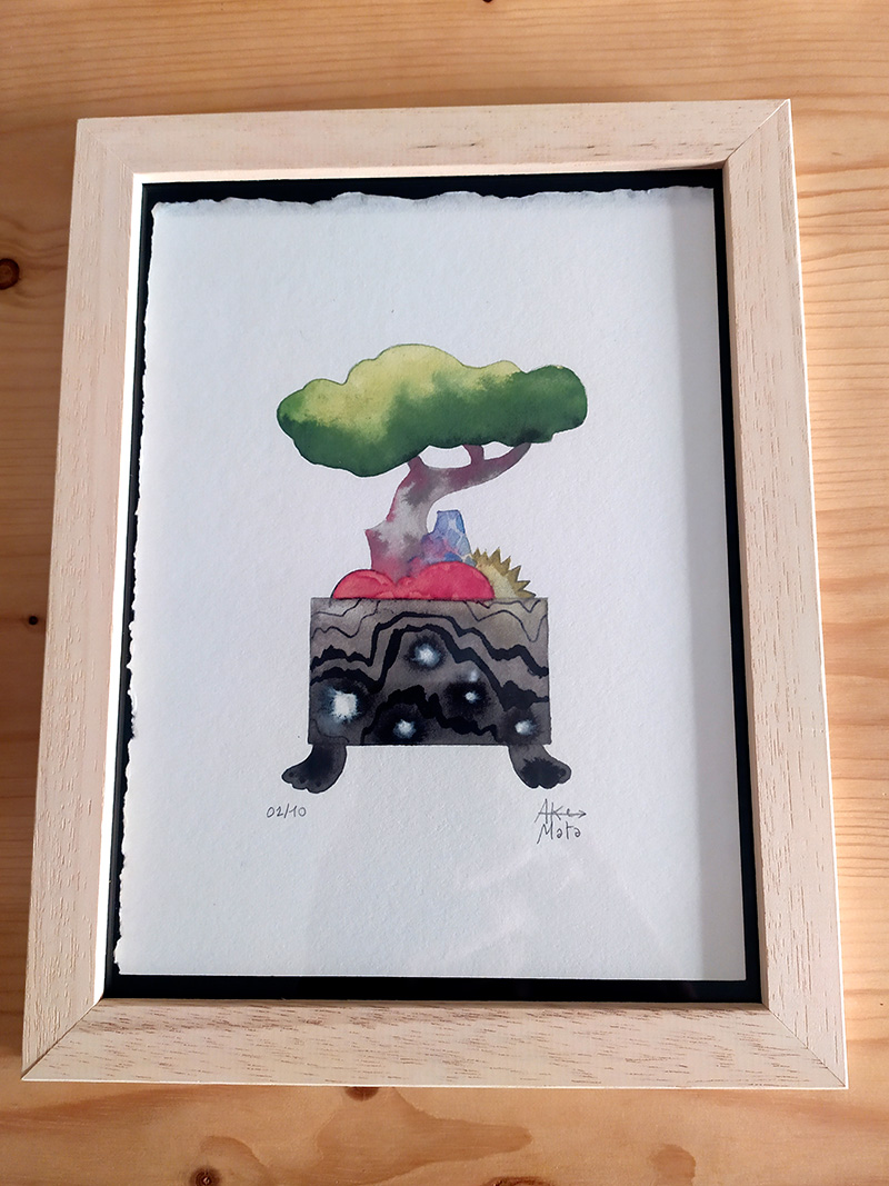 micro-jardin03-cadre